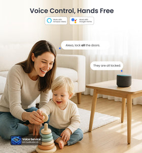 Veise VE017G-H Wi-Fi gateway integration enables remote control.
