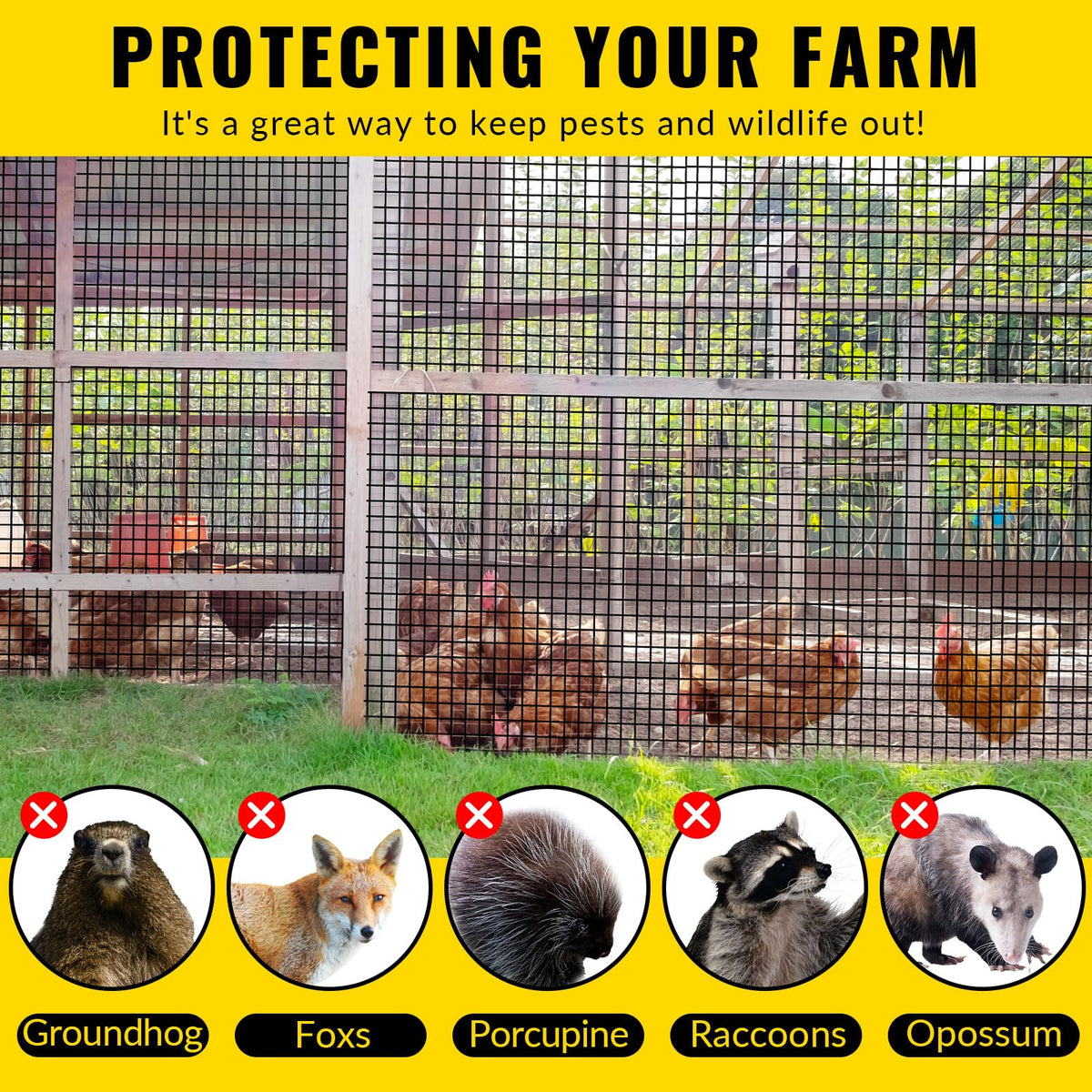 VELPAX hardware cloth poultry cage – 1/4-inch mesh guards small animals
