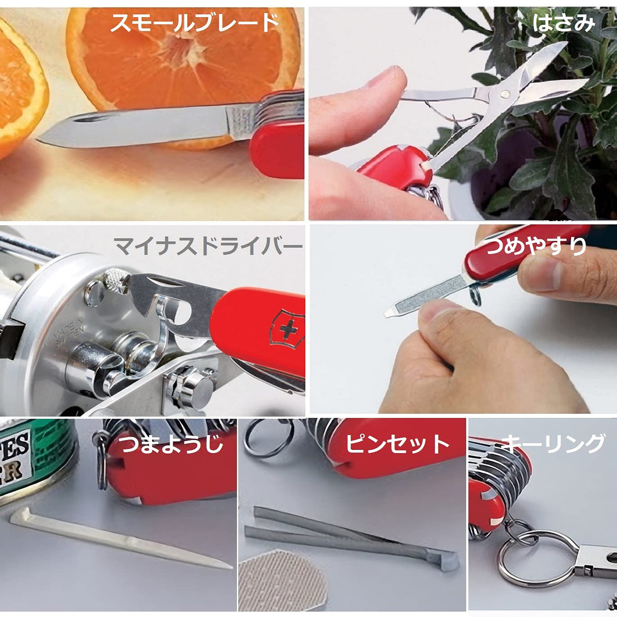 Victorinox Classic SD toothpick for basic cleanliness and readiness