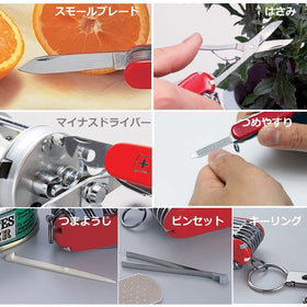 Victorinox Classic SD toothpick for basic cleanliness and readiness