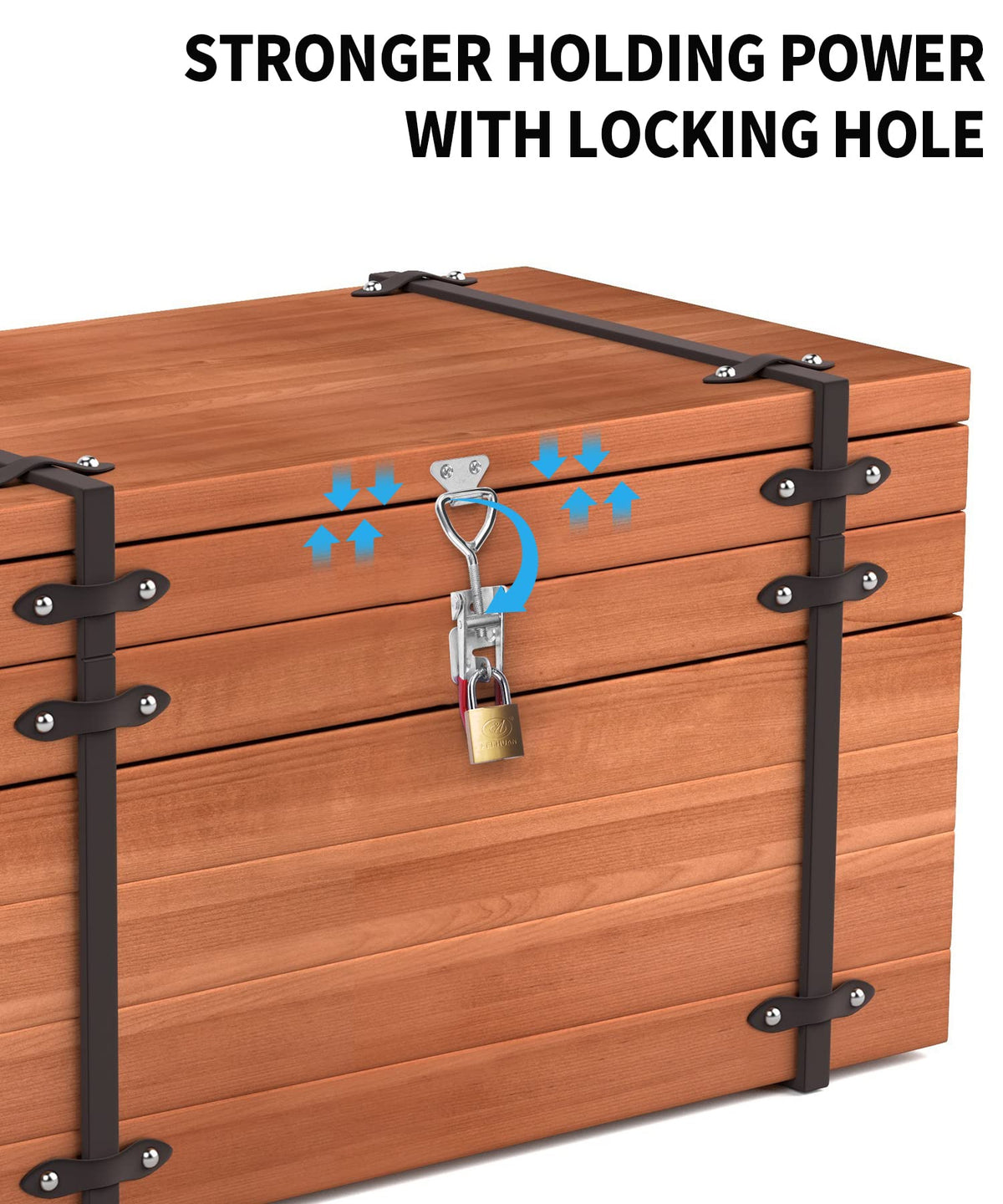 Vicuna R latch delivers up to 550 lbs holding power for tough closures.