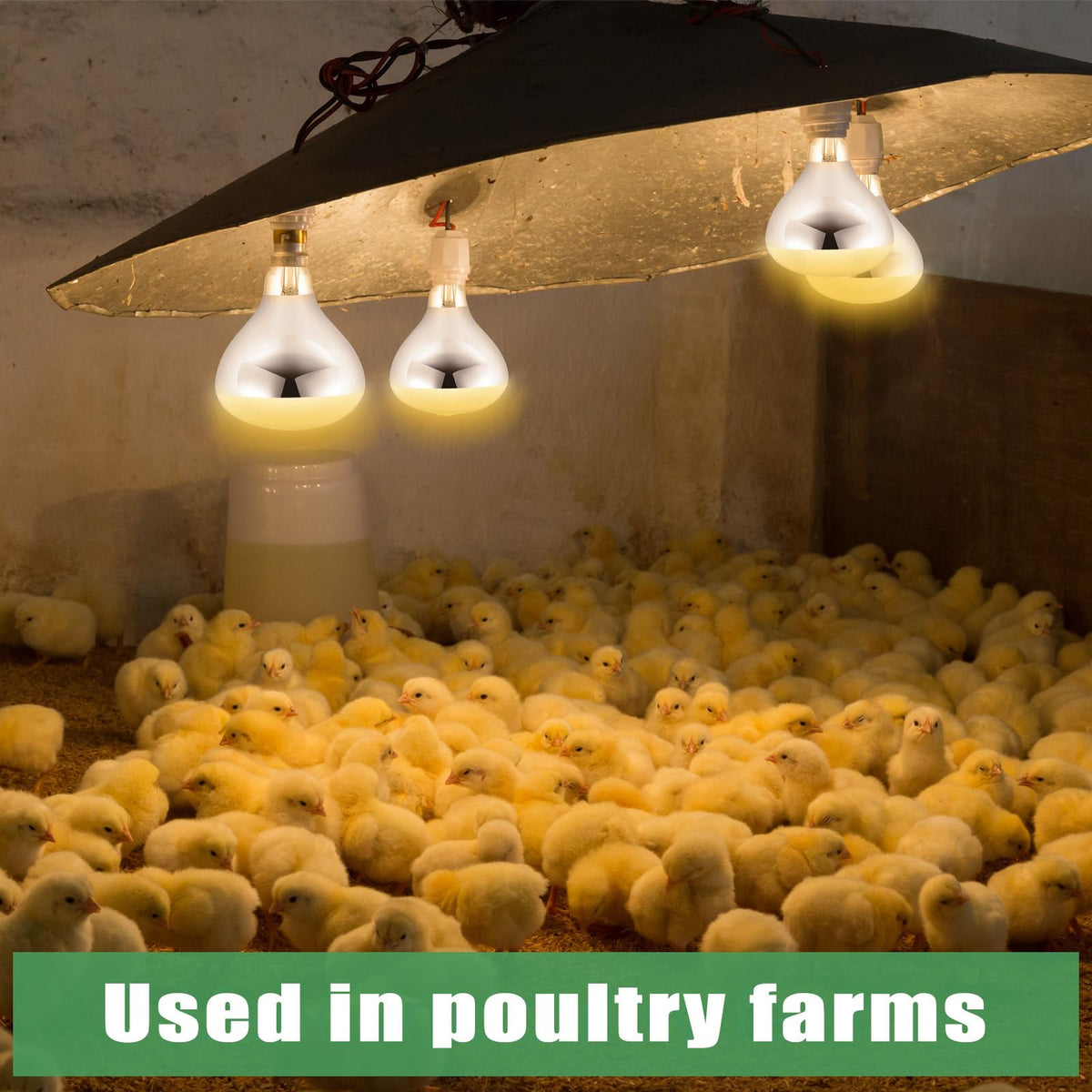 VIHOSE versatile heater for animal housing, food insulation, and bathrooms.