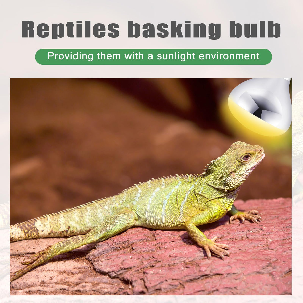 VIHOSE UVA irradiation-capable bulb supports reptile activity in habitats.