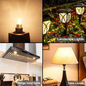 Vinaco G4 bulb with CRI100 for true color rendering.