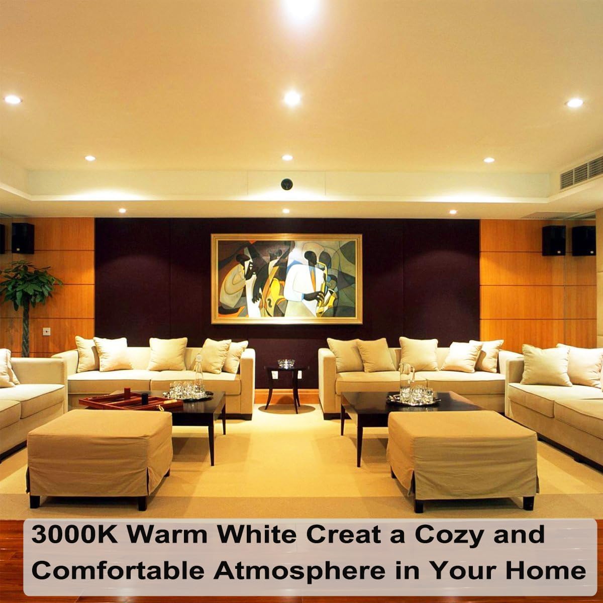 Vinaco Par20 dimmable 40-degree beam for adjustable mood.