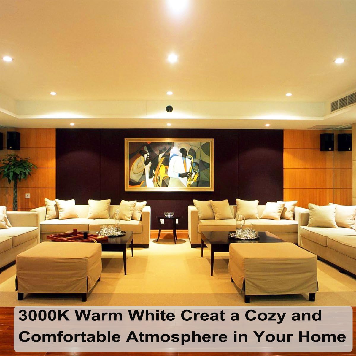 Vinaco Par20 dimmable bulb with instant-on performance for living rooms.