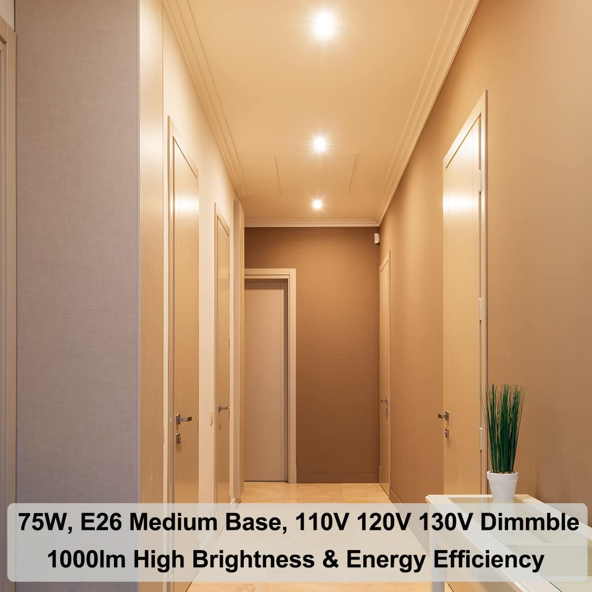 Vinaco PAR30 warm white 2800K 1000 lumens for cozy ambience