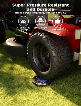 VIODAIM IP67 waterproof ground light withstands rain for durable yard lighting.