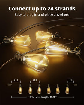 VIPAR E12 base bulbs provide a familiar fit with reliable performance.