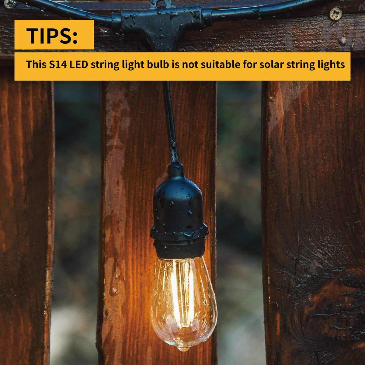 VISTERLITE 2200K warm LED S14 bulbs for cozy evenings