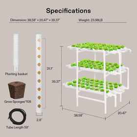 VIVOSUN leafy greens thriving in a soil-free hydroponic environment.