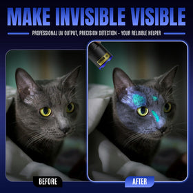 VMTENMV pet urine detection helps reveal stains on carpets.