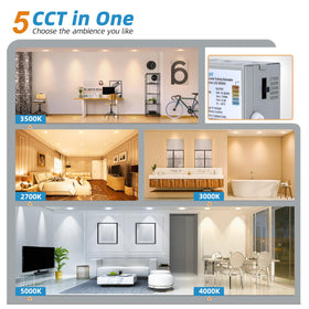 Volisun 5cct color temperature selector enables mood-adjusting light from warm to daylight.
