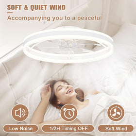 Volisun remote and app control lighting and fan speed.