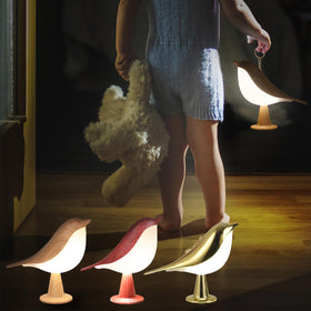VoMii Bird Desk Lamp gift-ready design suitable for bedrooms and offices.