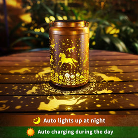 WACLSTDAY solar panel lantern charges in sun for evening light.