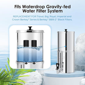 Waterdrop Black Carbon Filter for Berkey big royal imperial series improves flavor.