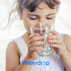 Waterdrop PF-01A 3-pack box conveys value