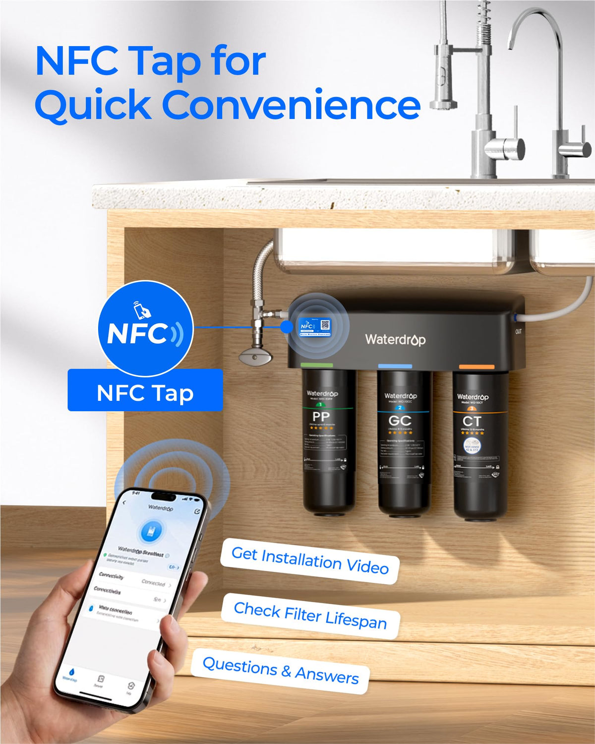 Dual dispensers for purified and source water
