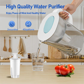 WaterJingYi NSF-certified filter showing four-layer filtration.