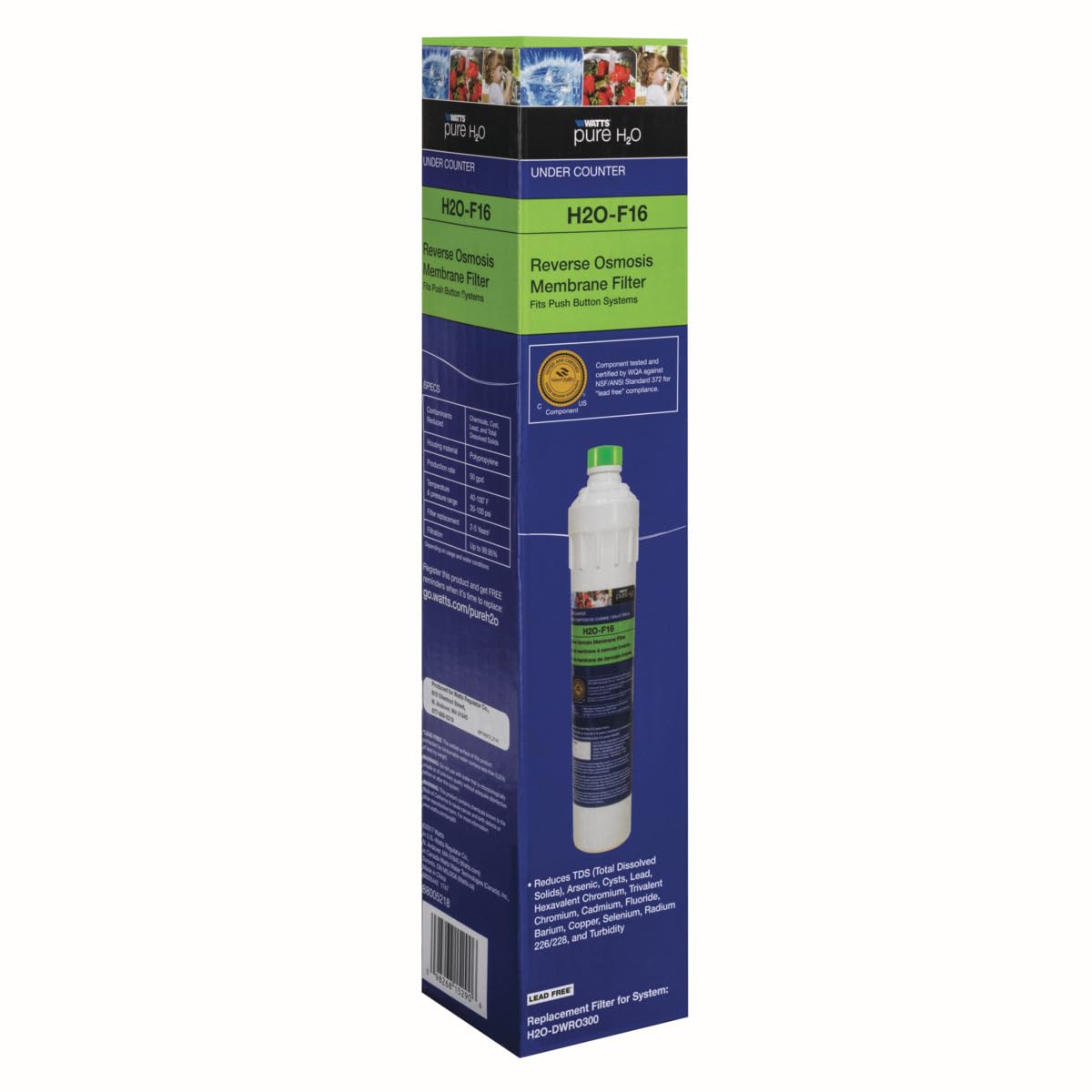 Watts Premier H2O-F16 push-button design allows quick membrane changes.