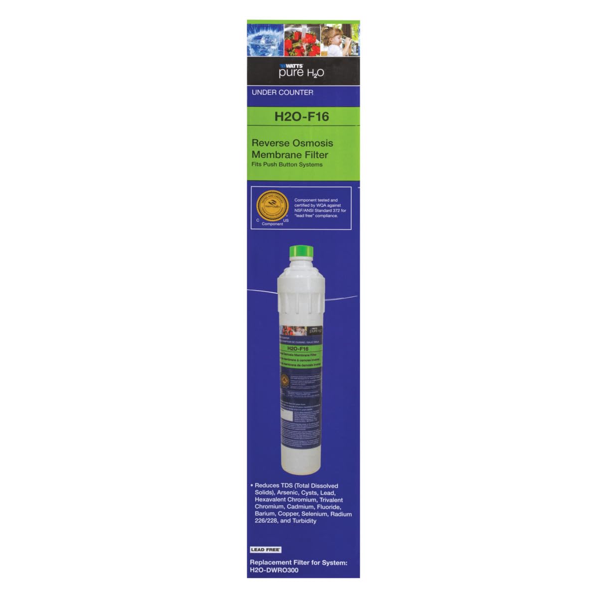 Watts Premier H2O-F16 RO membrane 13-inch for high-efficiency filtration in kitchens.