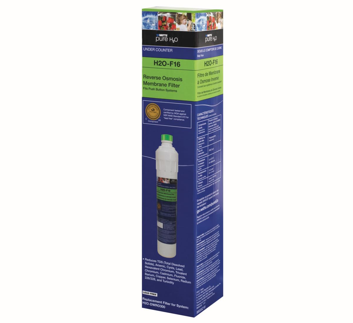 Watts Premier H2O-F16 water filtration focus for home use.