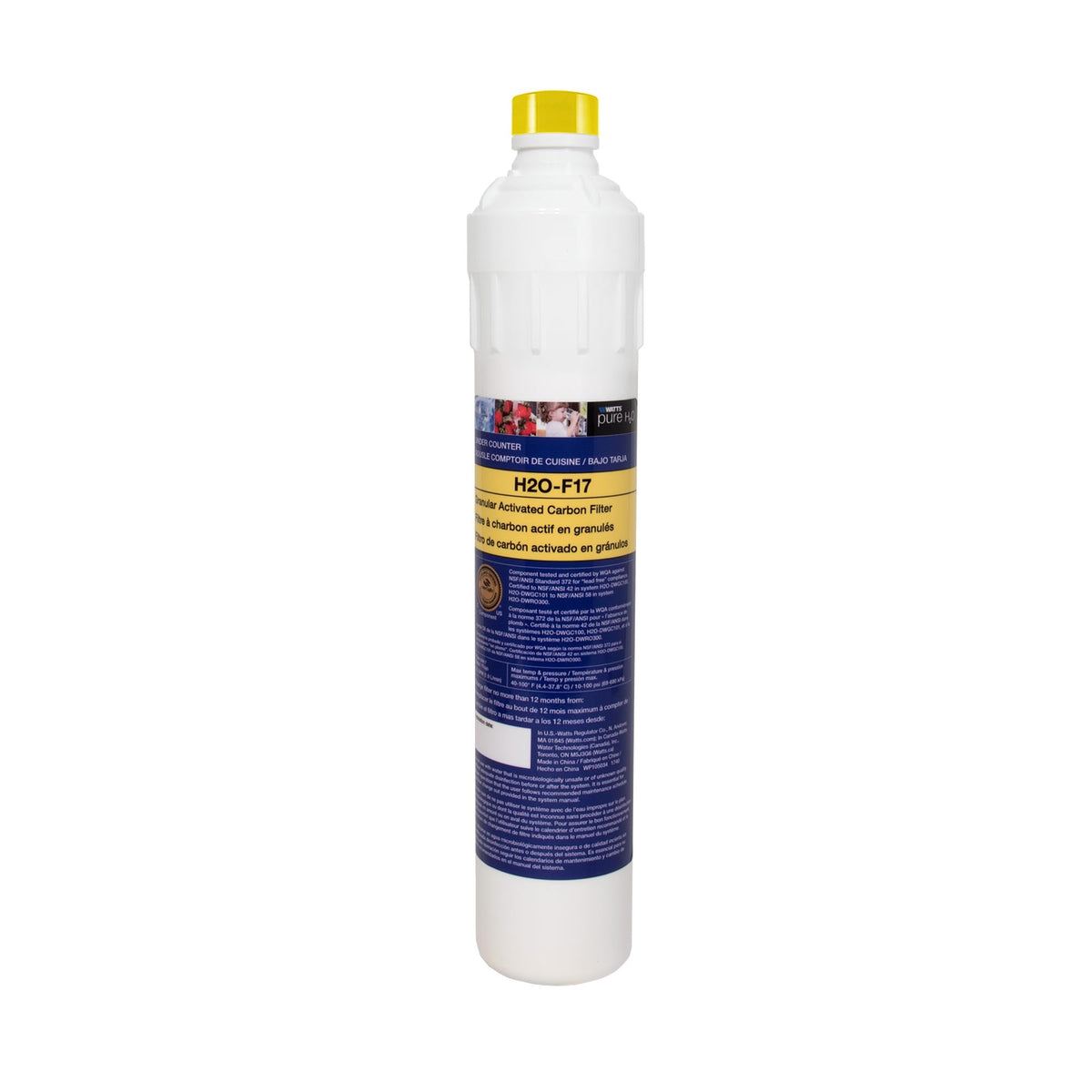 Watts Premier H2O-F17 GAC filter compatible with DWGC for space-saving under-sink filtration