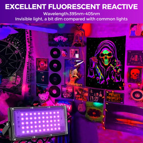 Waygor 395nm UV light highlights fluorescent decor and posters