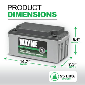 Wayne WSB1275 side view showing compact profile for basement installation