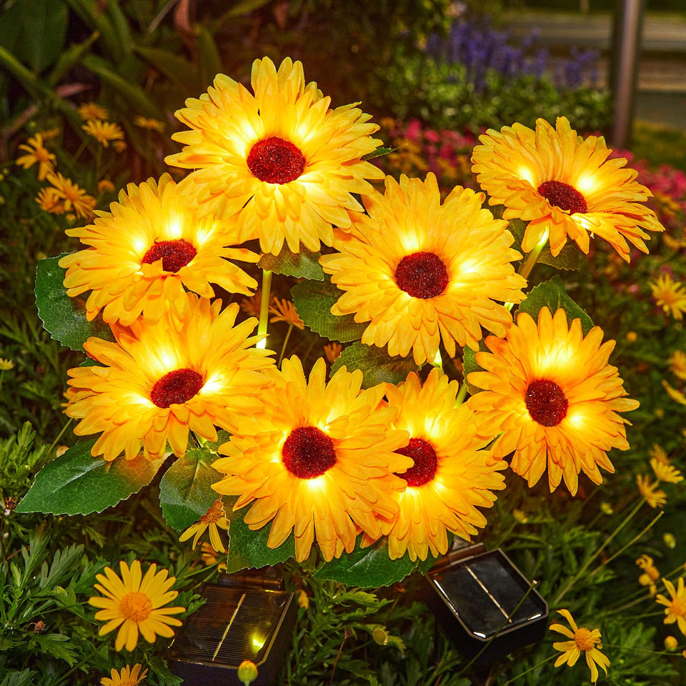 WdtPro daisy-flowers outdoor lights illuminate garden paths softly
