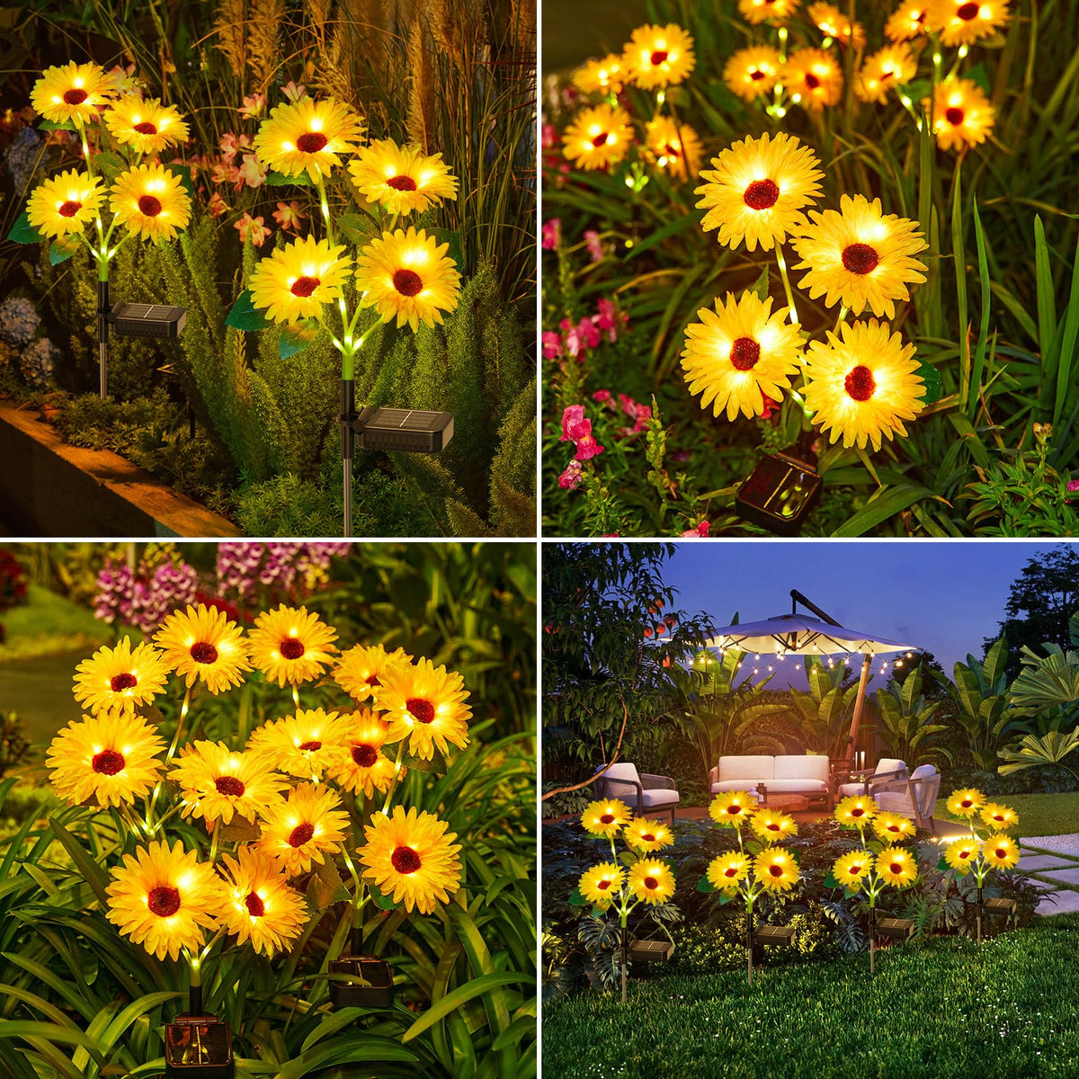 WdtPro glow-daisy-petals-detail shows intricate bloom design