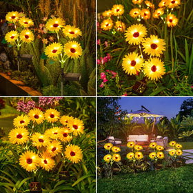 WdtPro glow-daisy-petals-detail shows intricate bloom design