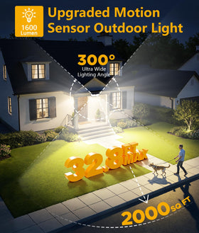 WdtPro yard at night shows bright illumination along walkways and landscaping