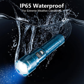 WdtPro IP65 waterproof design withstands rain and snow.