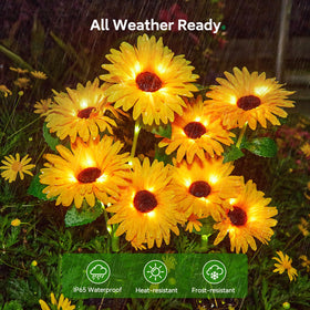 WdtPro night-illumination-12hours delivers long-lasting garden glow