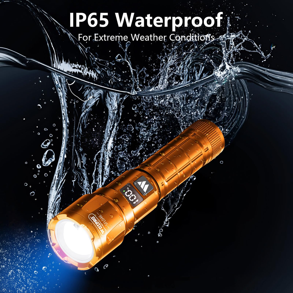 WdtPro SFL046 IP65 waterproof design withstands rain and snow
