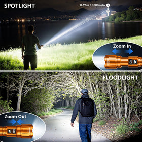 WdtPro SFL046 zoomable beam shows versatile spot and flood lighting