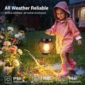 WdtPro IP65 waterproof lantern withstands rain for year-round outdoor use.