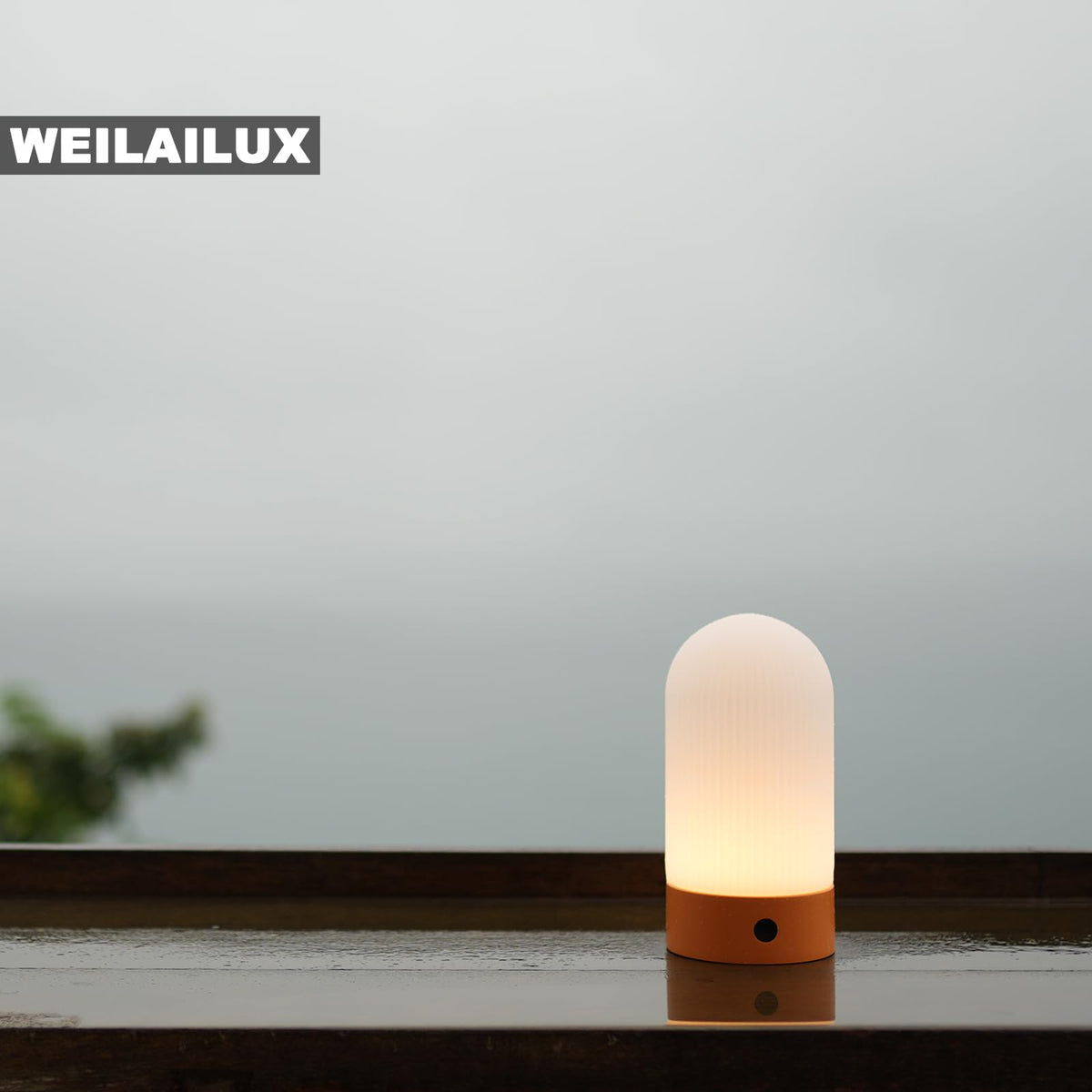 WEILAILUX cactus-shaped table lamp adds playful warmth to any room