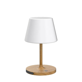 WEILAILUX IP44 outdoor waterproof lamp withstands rain and wind.
