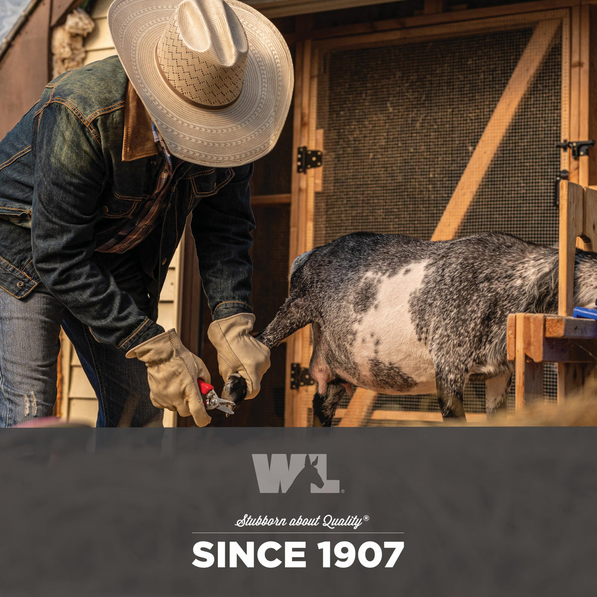 Wells Lamont durable-cowhide gloves protect hands on DIY projects.