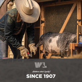 Wells Lamont durable-cowhide gloves protect hands on DIY projects.