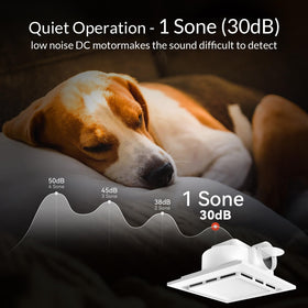 Welnek 6500K LED light provides bright daylight illumination for grooming