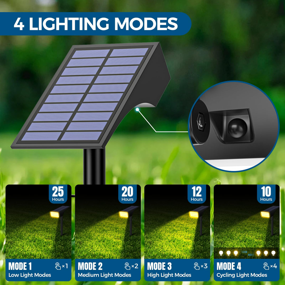 WENATY solar light highlighting a tree and landscape features.