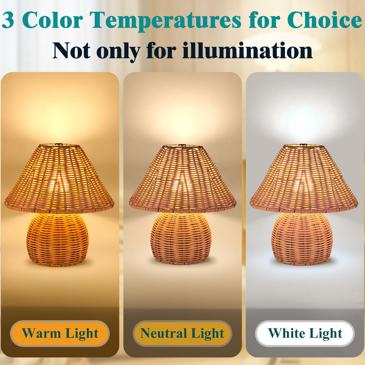 WERFOP lamp-shade installation demonstrates easy assembly with clear bulb instructions.