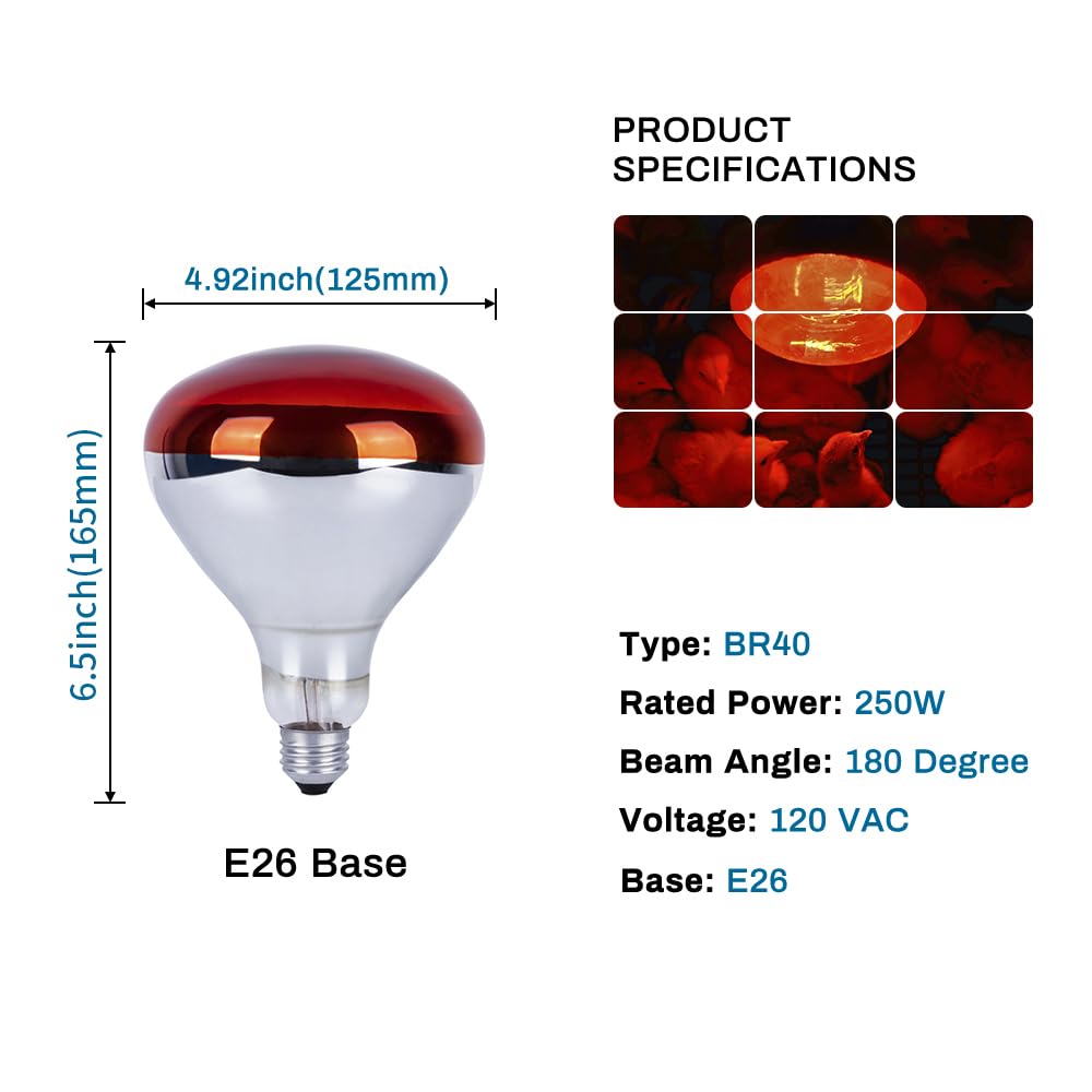 Wesome Lighting 6 pack 250W heat lamp bulb brooders enhances chick comfort and growth