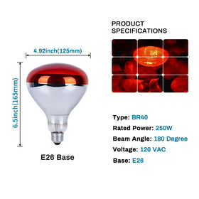 Wesome Lighting 6 pack 250W heat lamp bulb brooders enhances chick comfort and growth