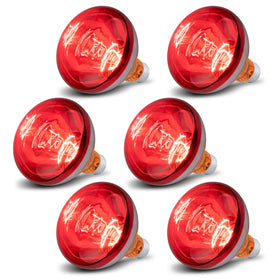 Wesome Lighting 6 pack 250W heat lamp bulb for chicks provides reliable warmth for brooding