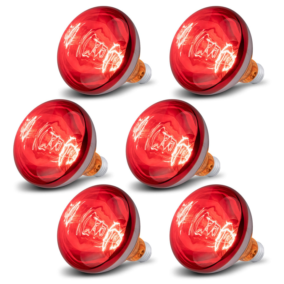 Wesome Lighting 6 pack 250W heat lamp bulb for chicks provides reliable warmth for brooding